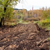 30ff84c8536b8bee312defc1e9e75a62