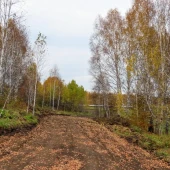 3755531dc3018ae5f6429d67abb7e563