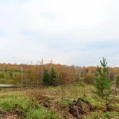 443413c516ba2ff6e7a349412e6aa2aa