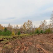 47488d9599168fb26d97050619c06eb1