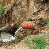 55792a04e47987fcb016e05694213e49