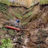 8687bb53330e593b31019613eb034008