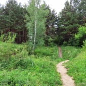 936948dd4dcd975c168d53ec0d7137df