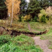 998fcfa21d2e95e6da3a7008caea9ee2