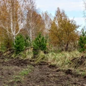 bb72ef425b4433b0fece662c2d85b03e