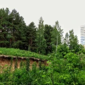 c264a0d38406087167c0fd2e2439a2d9