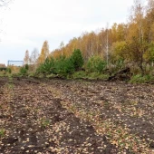 db4ea47c32983e06f0553af2ea290463