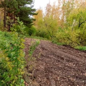 ff614ce93a1d9a970139844f78553b27