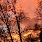 0570e6132bb1c7405dc71371951d76f9