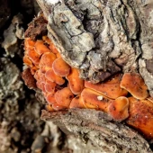 0c4969da76e86f1a851143b30154b8c9