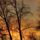 1276b9e9729b610dff309aa9dbb9ea52