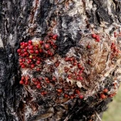 130a63141677b21bd8ec36ef0a154d05