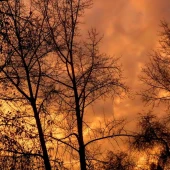 1d7148a1663fc0a0f0f5b46d747ee064