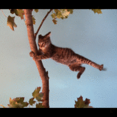 1fea3ec5c91167999b0706a61381e1bd