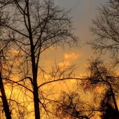 41cfb4efad714c41ace1688ade5882af