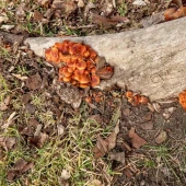 5be1e7769b418eace87dac11d8eb3274