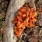 6989f372dae104a99247ea8bb06af833