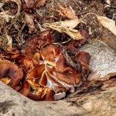 7eca748c8447c10ae274c01cc23ac9ec