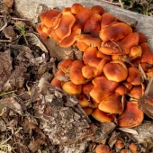 a64a1ce00a31fedd484e9804d7aa63ea