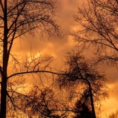 b7f0f2abf18adff245bcf2dd9420d3f7