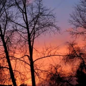 bb8a26285163192b7df35c7f787cd77a