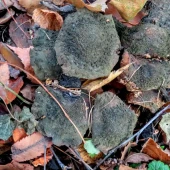 cc71bb6a3c8ab1841b1aea308e31167d