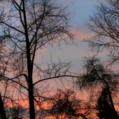 d3747949e8f198b6476819f5981cd663