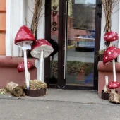 01937c12778499a0ce06bffb3e29c653