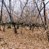 091f46404a83d31adc9e1ecb319acd7a