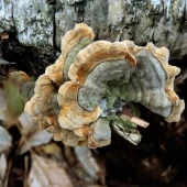 1cefd0b8982130d5c784cbe2394b83b2