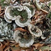 1edbb03838cad57eb9acf29f024fc04a