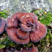 2cf7468e8cbde9e63c2805dcc3a31547