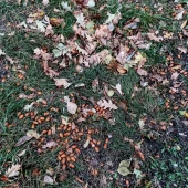 3800e30883c5809431474ce6fce57298