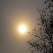 5689b38a3a3e01fc774ab09338697c40