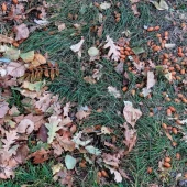 57f02b38f080b18ab4fecf539010bd7b