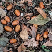 8700140f6b2bb32be4b63a8953c885d2