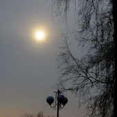 8c974f3bb5657a0987c709278f5eaef3