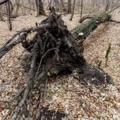 c020f3a71301675869350477853223fe