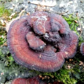 eb43ea00f820729fb91c0d82e07f18f0