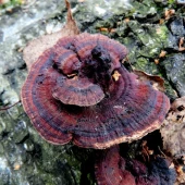 ee36de4d3d9e1fdbdd51c7e6c2747a6c