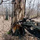 fea70645daea5261510222c4be9208dd