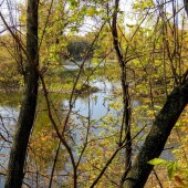 0091d5cce5cec64c63bb74d080496d21