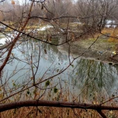 0cae030a5093007ff20bb19ba065c3e7