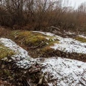 319e42d86e30174d4f42e9c7e9386c48