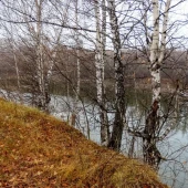 43382923dfa80d771896aca6cae3b1e9