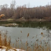 66a354b406f43ef0b9cdc5bebb0b8d75