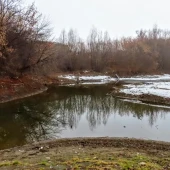 6ef1f84943c6fad9f91cb1bcffd05767