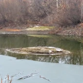 77456b3dfe14cb7b02655fb26f38a3c8