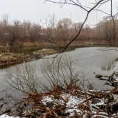 83e79cf75fbaa9bfa15b61964391bf09