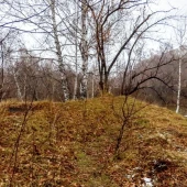 8c11633ce014c2e4f9f3918a793cc021